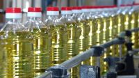 Edible Oil For Sale