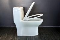 Cheap toilet bowl