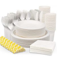 Party Plates Supplier