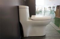 Sanitary ware Wc Ceramic siphonic toilet
