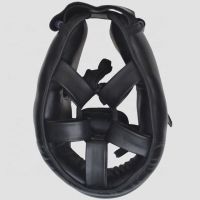 Modern head guard 