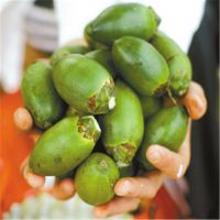 Best betel nuts Supplier