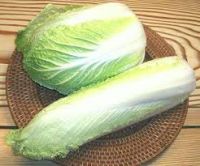 Fresh cabbage