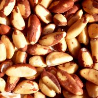  Quality brazil nuts wholesale