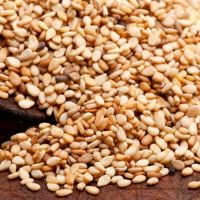 High supply alfalfa seeds