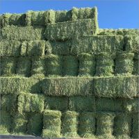 Best Grade Alfalfa Hay For Animals 