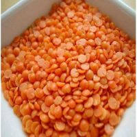 Top quality  Lentil 