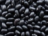 Black White Kidney Beans 
