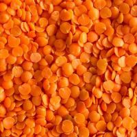  Yellow Lentil for sale 