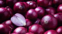 Commonly cultivated Red Onion