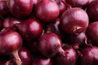 Freshly Harvest  Red Onion