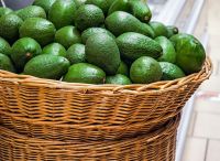 Wholesale Premium Delicious Traditional Guacamole Avocado Sale Buy Avocados Avocado Products From  South Africa 