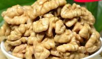 Factory Wholesale Dried Nuts Yunnan Wallnut Kernels walnut without shell