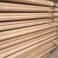 Wholesale custom wooden rod bamboo pole raw material bamboo round stick