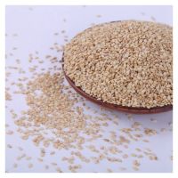 Widely Used Superior Quality 100% Natural White Sesame Seeds Oil Sesame Seeds