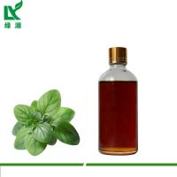 Cosmetic Grade Oregano Oil Bulk Synthetic Carvacrol Oil Animal Feeding Additive From South Africa  Factory