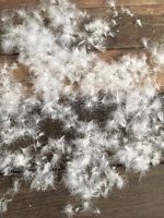 DUCK DOWN FEATHERS FOR WHOLESALE,
