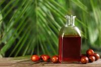 Refined Pure Palm Oil High Quality Red Palm Oil For Sale Canadian Red Oil