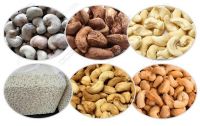 Fresh Cashew Nuts Cashew Nuts W320 W240 Export Cashew Nuts From Tanzania