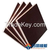 Brown Film Faced Plywood