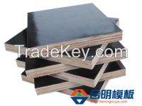 Black Film Faced Plywood