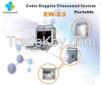 3D/4D portable ultrasound color doppler system