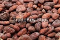 Cocoa Beans