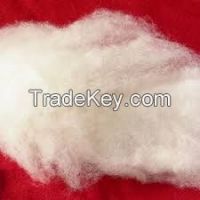 Raw Cotton Wool