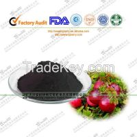 Canada Imported Cranberry extract: Cranberry ProAnthocyanin
