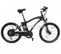 Hot Sell Electric Bicycle with CE Approved