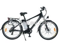 Popular and high quality e bike with elegant shape