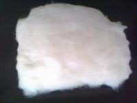 SD RW Virgin polyester staple fiber