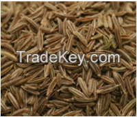 FENUGREEK SEEDS