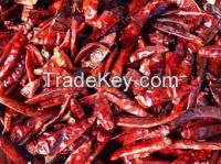Dried quality Chili pepper Ready for Market  