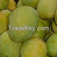 Bangladeshi biggest mango supplier , cheap wholesale mangoes , Sweet fresh mangoes at reasonable price