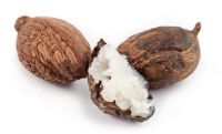 Shea Butter and Nuts