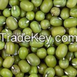 Moong Beans