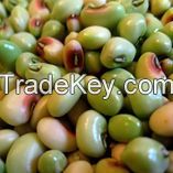Field Peas