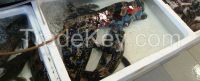 Tiger Grouper
