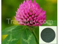 Red Clover Plant Extract