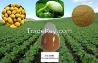 Free Sample 10% 20% 40% Soybean Isoflavones P.E.