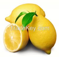 100% Water-soluble Citrus Limon Extract Powder/Lemon Extract 