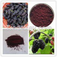 GMP Manufacturer Supply Best Price Mulberry Fruit Extract Powder