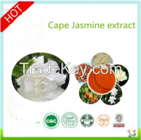 100% Natural cape jasmine fruit extract/Fructus Gardenia extract Gardenoside