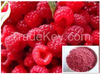 100% Natural Fresh Red Raspberry fruit Powder for your health (Rubus idaeus L.)