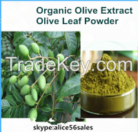 plant extract Antioxident Olive leaf extract oleuropein 25%
