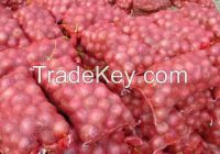 onion size 50mm+ high quality