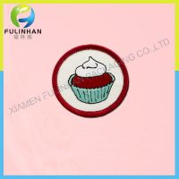 Embroidered brand logo custom embroidery patches sew on / iron for clothing