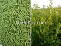 Alfalfa pellets