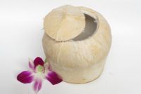 Fresh Young Coconut (Cylinder)